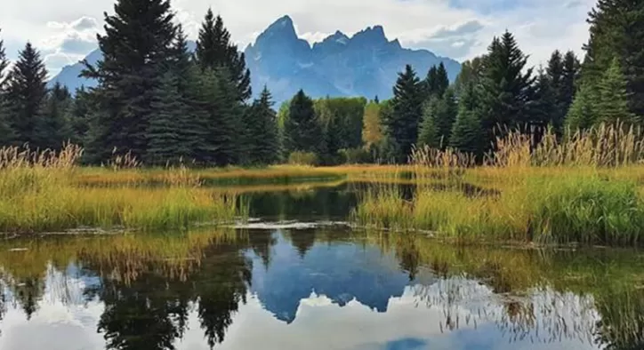 Kadın Gezgin Caroline Foster’dan Huzur Kokan Manzara Fotoğrafları