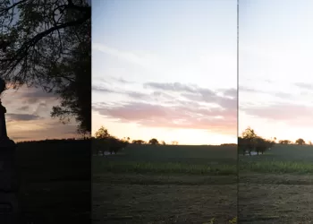 Raw Fotoğraf Nedir?