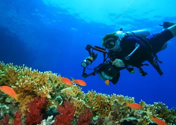 Sualtı Fotoğrafçılığı İçin 7 İpucu