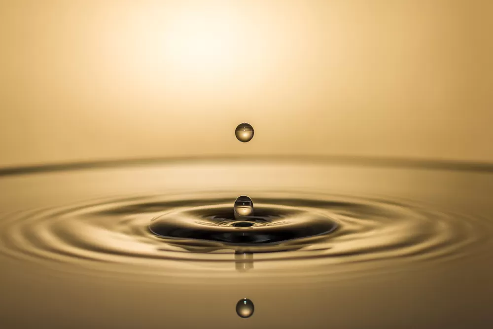 Damla Fotografi Cekim Egitimi