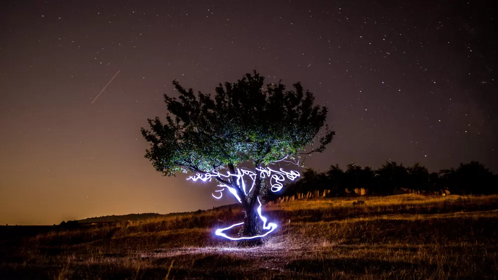 Fotografcilik Workshop 32