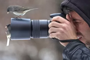 Kuş Fotoğrafı Çekimi Workshop