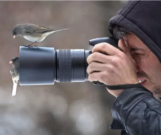Kus Fotografi Cekimi Workshop