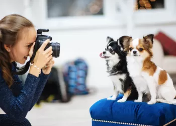 Köpek Fotoğrafı Nasıl Çekilir?