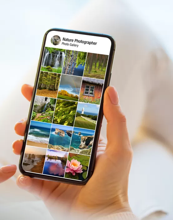 Mesleki Gelisim Kurslari 2