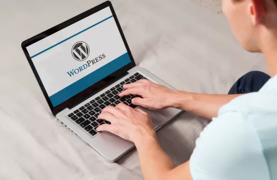 Wordpress Egitimi 2