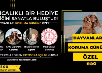 Hayvanları Koruma Günü’ne Özel %50 İndirim!