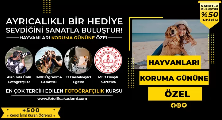 Hayvanları Koruma Günü’ne Özel %50 İndirim!